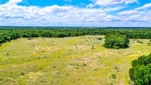 TBD County Road 175 - Photo 4
