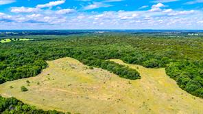 TBD County Road 175 - Photo 6