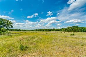 TBD County Road 175 - Photo 9