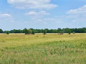 12053 S HWY 34 - Photo 8