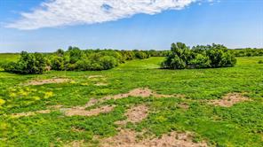 TBD County Road 392 - Photo 5