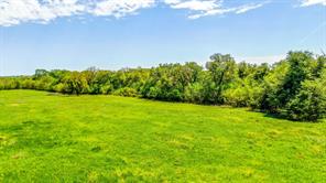 TBD County Road 392 - Photo 8