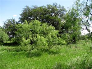 6630 Fm 183 - Photo 19