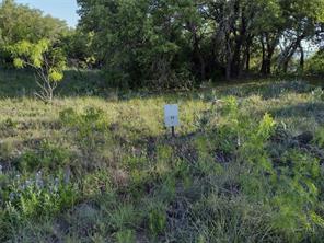lots 53-54 Janda Lane - Photo 4