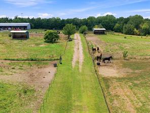 2083 Clem Road Extension - Photo 17