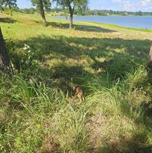 371 Private Road 7327 - Photo 40