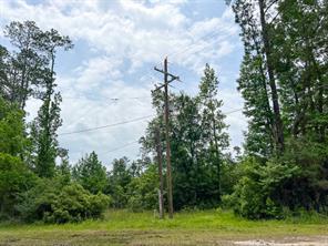 00 FM 2937/Old Arco Road - Photo 4