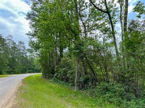 00 FM 2937/Old Arco Road - Photo 5