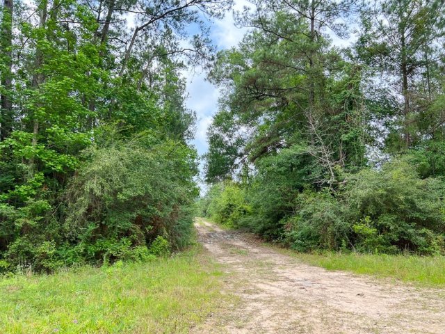 013 Old Arco Rd