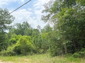 013 Old Arco Rd - Photo 2