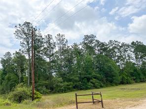 013 Old Arco Rd - Photo 3