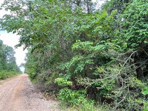 013 Old Arco Rd - Photo 4