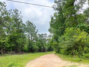 013 Old Arco Rd - Photo 5