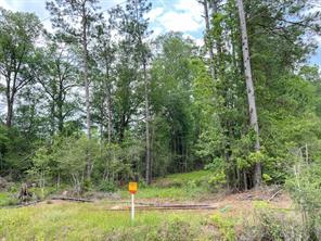 013 Old Arco Rd - Photo 7