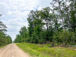 013 Old Arco Rd - Photo 8