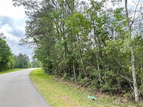 000 FM 2937/Old Arco Road - Photo 3