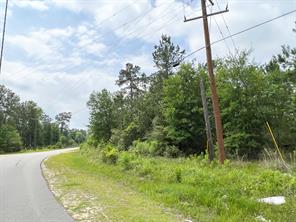 000 FM 2937/Old Arco Road - Photo 4