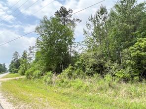 000 FM 2937/Old Arco Road - Photo 5