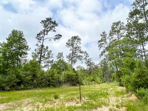 000 FM 2937/Old Arco Road - Photo 6