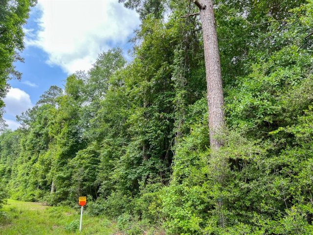 0000 FM 2937/Old Arco Road