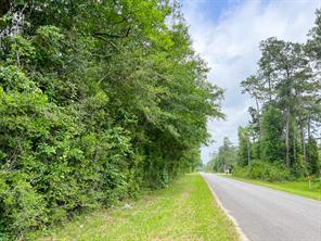 0000 FM 2937/Old Arco Road - Photo 3
