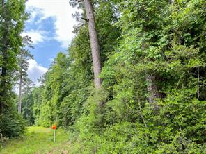 0000 FM 2937/Old Arco Road - Photo 4