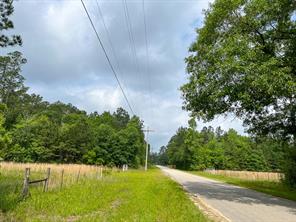 00000 Elise Gore Lane - Photo 2