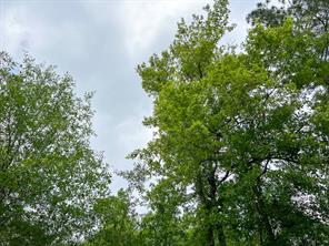 0000 Cravens Camp Rd. - Photo 2