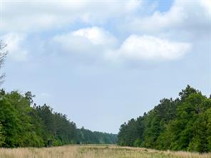0000 Cravens Camp Rd. - Photo 3