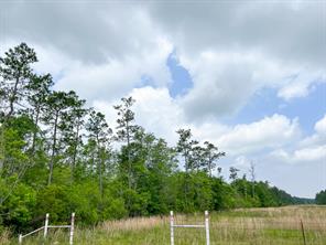 0000 Cravens Camp Rd. - Photo 4