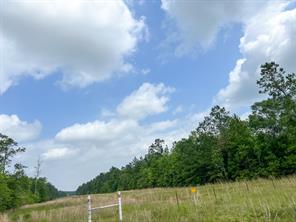 000000 Cravens Camp Rd. - Photo 4