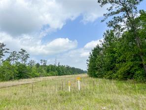 000000 Cravens Camp Rd. - Photo 5