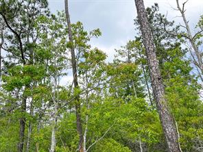 000000 Cravens Camp Rd. - Photo 6