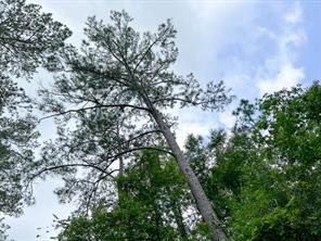 000000 Cravens Camp Rd. - Photo 7