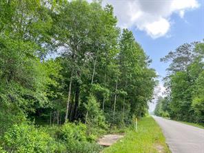 000000 Cravens Camp Rd. - Photo 9