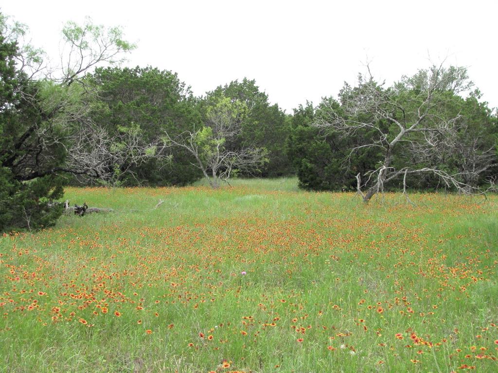TBD-Lot 41 PR 42107 - Photo 1