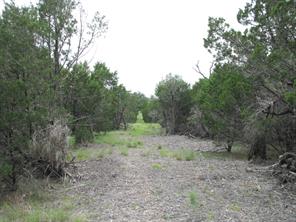 TBD-Lot 41 PR 42107 - Photo 11