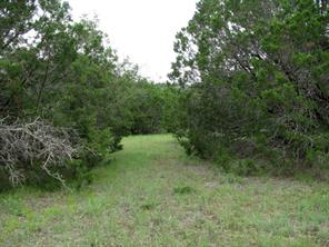 TBD-Lot 41 PR 42107 - Photo 7