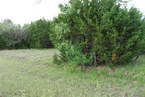 23067 Oak Ridge Drive - Photo 5