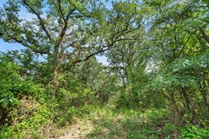 1435 Private Road 1129 - Photo 14
