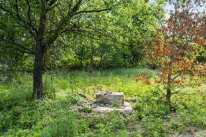 1435 Private Road 1129 - Photo 29