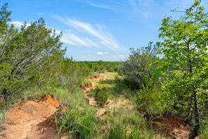 1435 Private Road 1129 - Photo 33