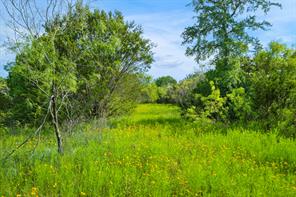 1435 Private Road 1129 - Photo 35