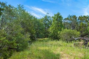 1435 Private Road 1129 - Photo 37