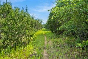 1435 Private Road 1129 - Photo 7