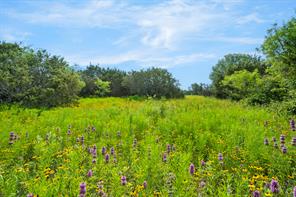 1435 Private Road 1129 - Photo 9