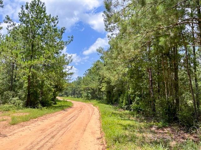 00 County Road 1325 - Photo 4