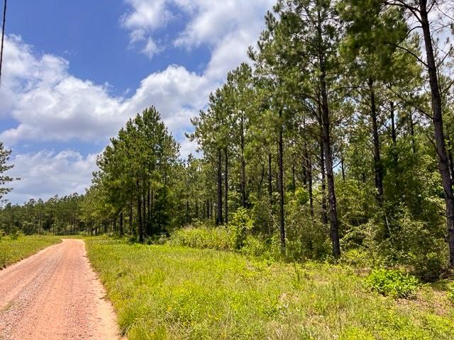 00 County Road 1325 - Photo 6