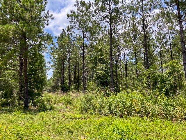 00 County Road 1325 - Photo 7