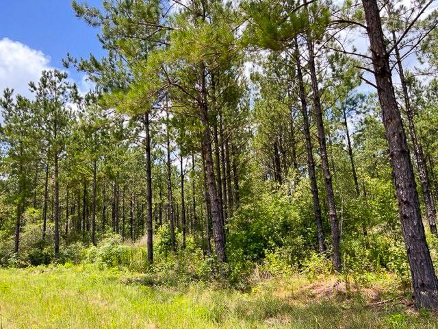 00 County Road 1325 - Photo 9